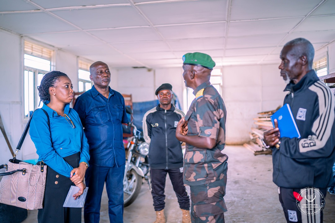 Vue générale des camps de déplacés